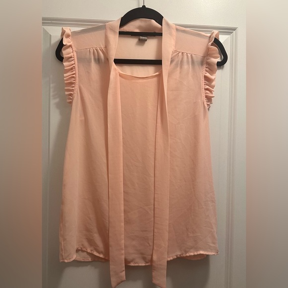 Forever 21 Other - Forever 21 Sleeveless Sheer Chiffon Ruffle Tie Front Blouse Pink